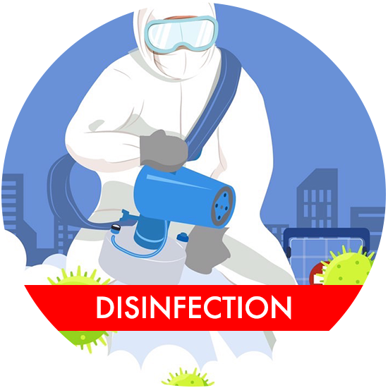 DISINSECTION Doctor Exterminator
