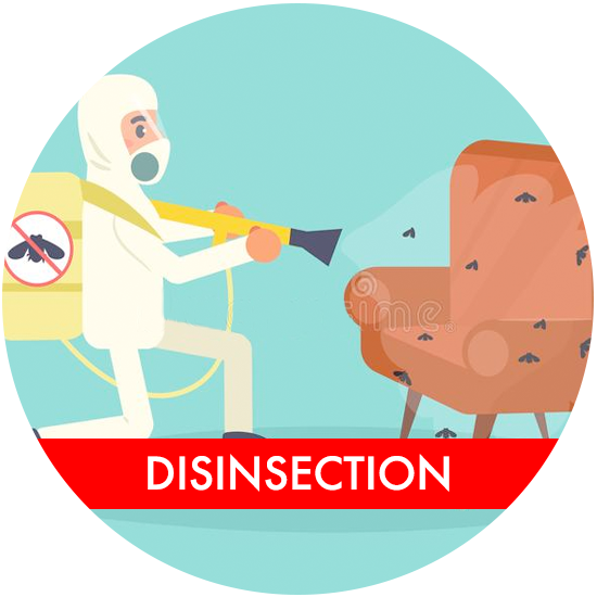 DISINSECTION Doctor Exterminator